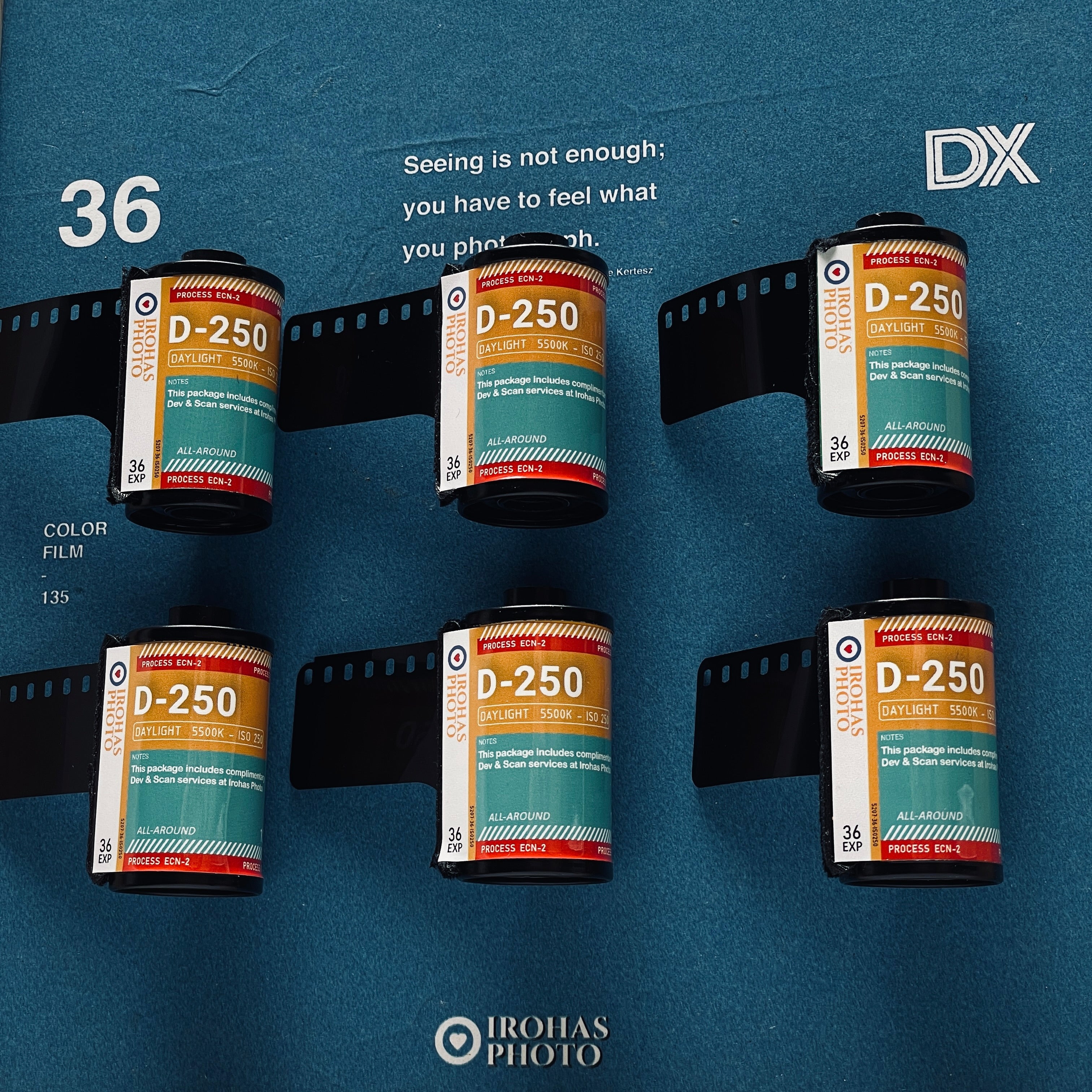 Irohas Cinema film- 250D 35mm [Limited!]